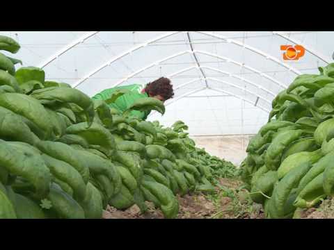 Ne Shtepine Tone, 22 Nentor 2016, Pjesa 2 - Top Channel Albania - Entertainment Show