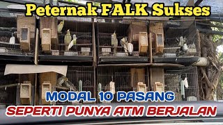 Download lagu Peternak Burung parkit Australia Sukses || 10 pasang bagaikan punya ATM berjalan mp3 Download lagu Peternak Burung parkit Australia Sukses || 10 pasang bagaikan punya ATM berjalan mp3