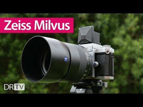 download lagu mp3 mp4 Milvus, download lagu Milvus gratis, unduh video klip Milvus