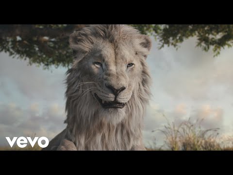 Tchau Tchau - Mufasa: O Rei Leão