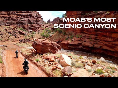 Riding the Most Scenic Dirt Road in the Moab Desert