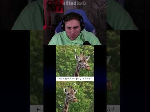 RRaenee Hangisi Yapay Zeka? #shorts