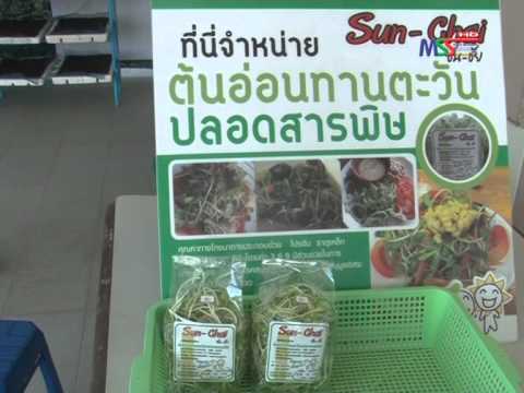 สิ่งที่ชาเพิ่มความแข็งแรงในผู้ชาย Lipo 6 แรงมากสีดำ