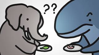 Por que os animais gigantes comem coisas tão pequenas?