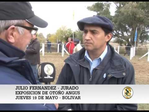 19-05-16 NOTA JULIO FERNANDEZ - JURADO - EXPO BOLIVAR - BOLIVAR