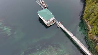 North Vancouver Island sasquatch tours.