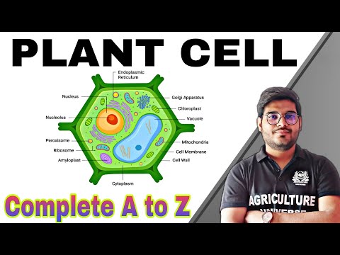 what is Crop physiology crop physiology kya hai crop physiology bsc ag second semester