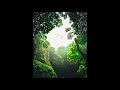 Pines of Rome Clarinet Excerpt By: Ottorino Respighi