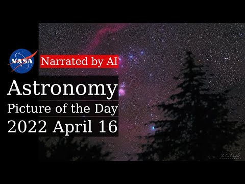 APOD: 2022-04-16 - Orion Pines (Narrated by Emma)