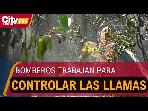 Seis incendios forestales son atendidos en Cundinamarca | CityTv