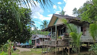 Download lagu Kehidupan Kampung Dayak Pedalaman Kalimantan Yang Sepi Ditinggalkan.Dayak Dusun Malang, Teluk Mayang mp3 Download lagu Kehidupan Kampung Dayak Pedalaman Kalimantan Yang Sepi Ditinggalkan.Dayak Dusun Malang, Teluk Mayang mp3
