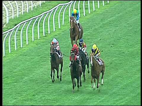 Galoppo 27/02/2016 - 2° corsa