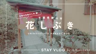花しぶき in 千葉県館山市｜お宿の全貌まとめつつvlog。