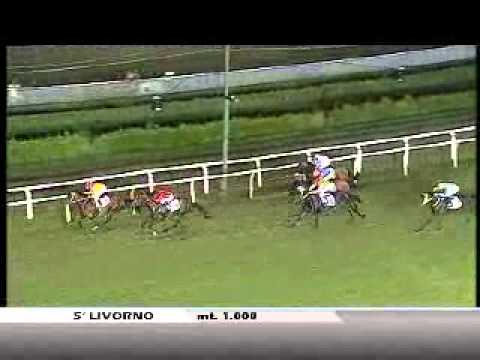 12/07/2012, Livorno , Premio Lanciatore