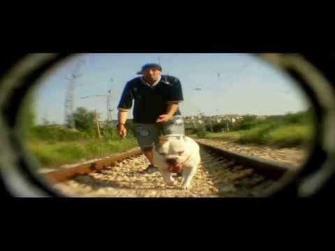 FOGG - Глад Мори