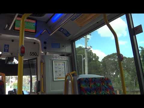 Scania K320UB (Euro VI, Custom CB80) - ACTION Buses Tourist Loop 81