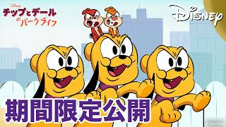【期間限定無料公開】チップとデールのパークライフ | ハムスターパラダイス / 子犬のベビーシッター / かわいいヤツら