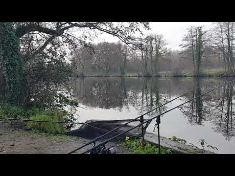 Trip 84 Carp Fishing - 2019