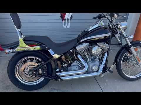 2003 Harley-Davidson FXST/FXSTI Softail®  Standard in Grand Prairie, Texas - Video 1
