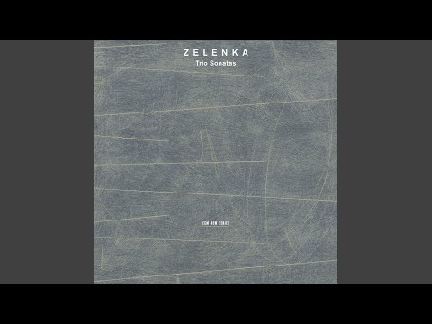 Zelenka: 6 Trio Sonatas, ZWV 181, No. 4 in G Minor: I. Andante