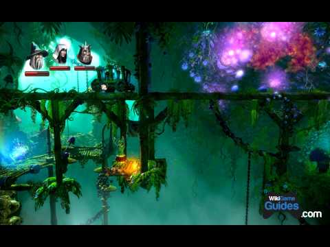 Trine 2 Walkthrough - Chapter 9 - Mushroom Murk | WikiGameGuides