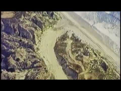 Ralph Abraham - The Sandy Beach (Terence McKenna, Rupert Sheldrake)