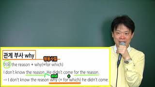 6 관계부사 why