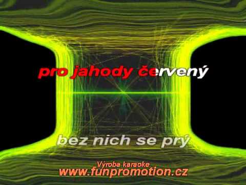 Jiří Schelinger   jahody mražený (karaoke)