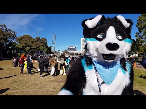 Aurawra 2023
