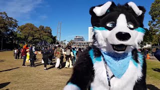 Aurawra 2023 Music Video