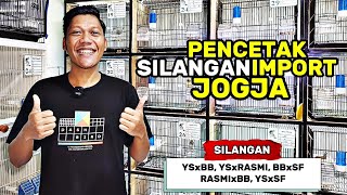 Download lagu PETERNAK KENARI‼️Materi FULL SILANGAN IMPORT indah-indah... mp3 Download lagu PETERNAK KENARI‼️Materi FULL SILANGAN IMPORT indah-indah... mp3