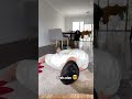 How To Use Cork Massage Balls