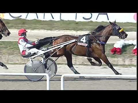 Napoli Trotto 17/02/2023 - 2ª corsa