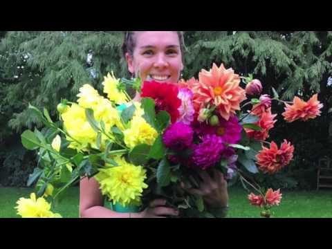 Que florece: febrero y marzo