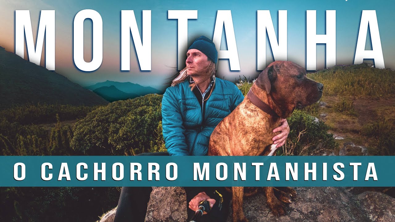 Trekking com o cachorro montanhista  - Será que ele consegue?