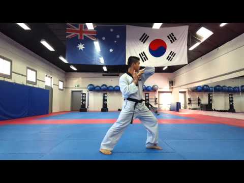 Taeguk 5 "Respect" Grading Level