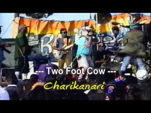 Two Foot Cow  "Charikanari " Babylon Warriors (music video)