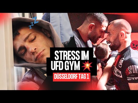 MMA Trainingslager im UFD Gym Düsseldorf 🥊