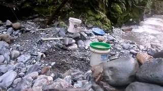 Lyell gold Prospecting  11/7/2016