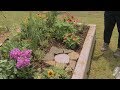 Planting a Butterfly Garden – Family Plot