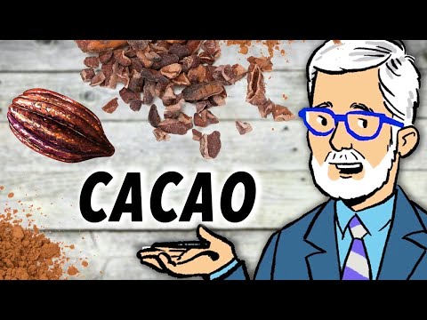 Doctor says: Eat chocolate, EVERY DAY