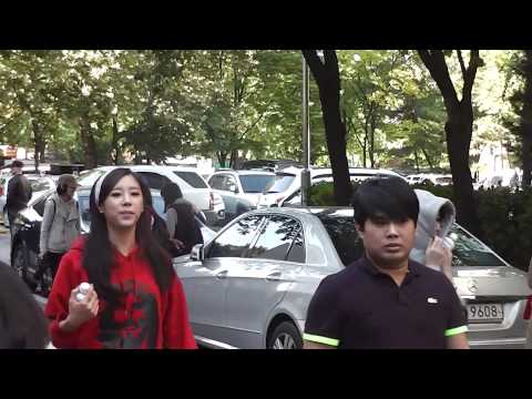 131018 Ninemuses Walk Musicbank