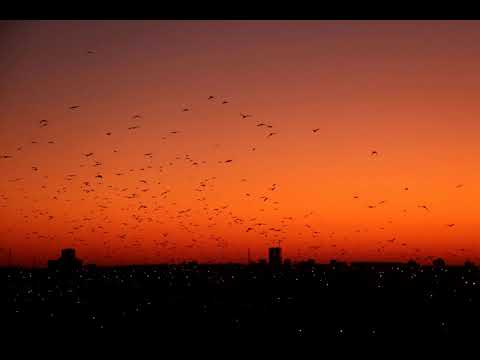 A.M. feat. Tiff Lacey - Arise (Mike Shiver & Ash F Vocal Remix) [2006] HQ