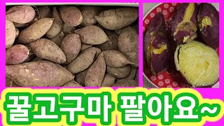 꿀고구마(베니하루카,까) 밤고구마 팔아요~ 화목난로도 팝니다~