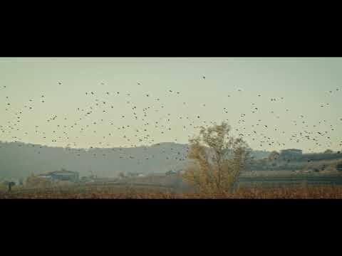 BMPCC 4K Quick Test - Brda by Wing