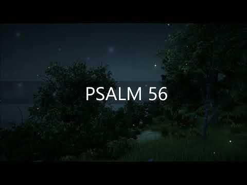 PSALM 56 / Vertrauen und Furchtlosigkeit