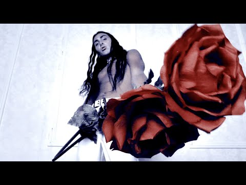 Paris Shadows - Gone Girl (Official Video)