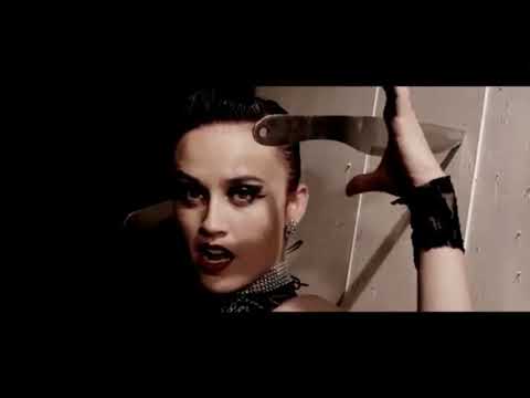 Lanzador de Cuchillos profesional