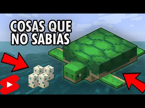 Things you didn't know about the Turtle - Minecraft
