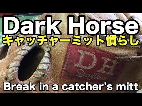 キャッチャーミットの慣らし Dark Horse (Break in a catcher's mitt) #1544 Video